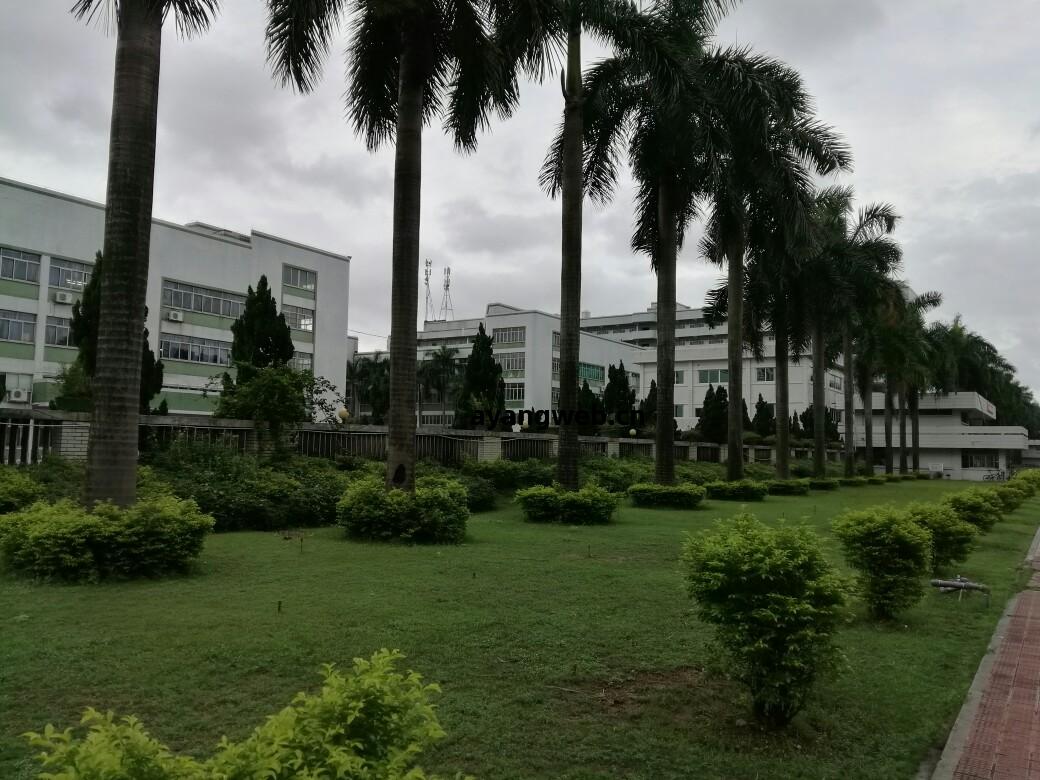 中山(shan)寶(bao)元鞋(xie)廠(chang)